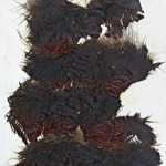 Wágner János: Kiterjedés, 1980