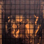 Tóth Csaba: A szabadság szövevénye, 1996