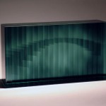 Bohus Zoltán: Vízió, 2010