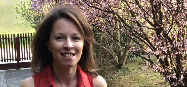 Magyartanári missziók