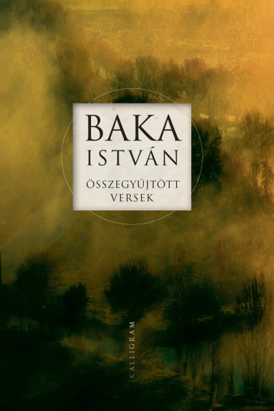 Sztyepan Pehotnij talán utolsó versei