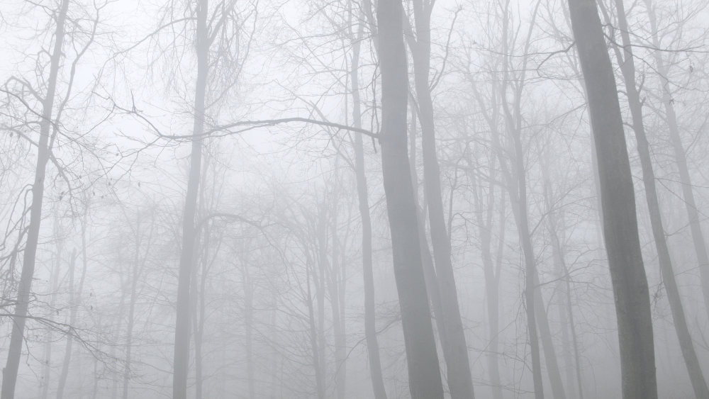 „Nem vagyok meg nem értett művész”