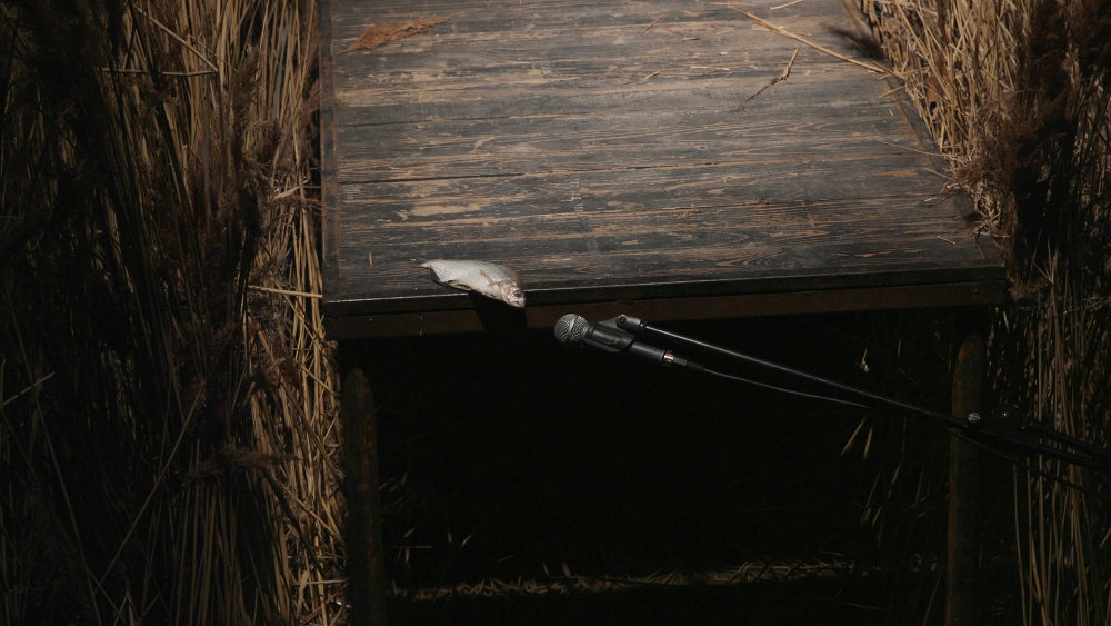 Szemlélődés egy szakrális rom-panoráma részeként