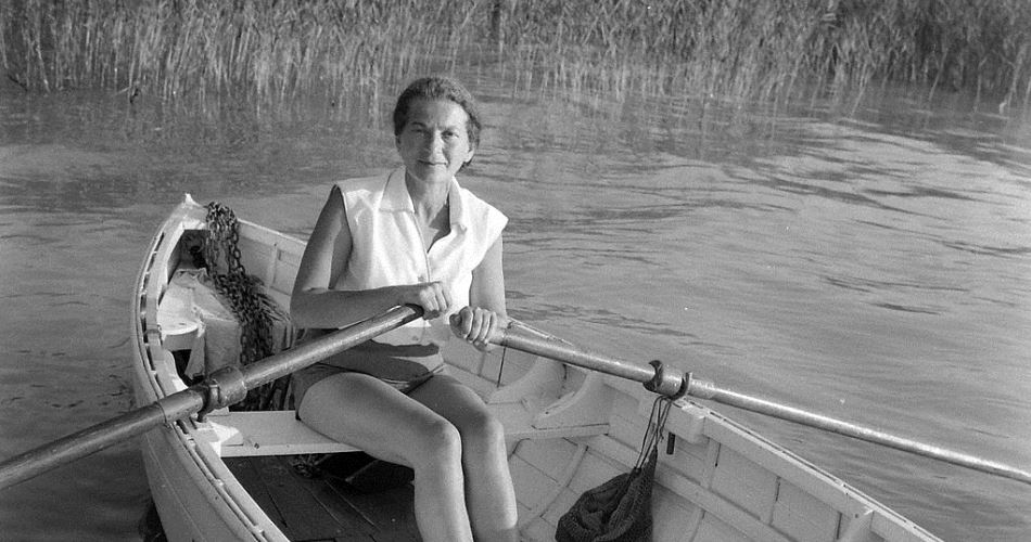 A bőség zavarában