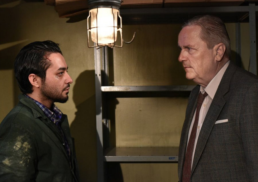 A migráció napos oldala