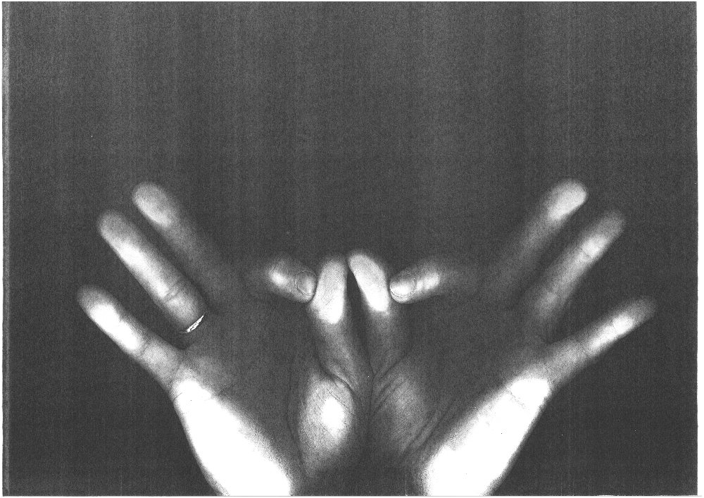 Fotókiállítások – moziban