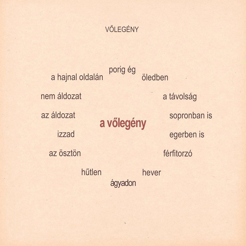 Képekbe kódolt szavak