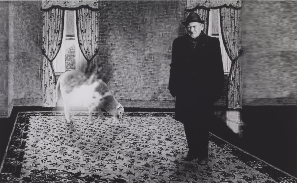 Komforttalan történet