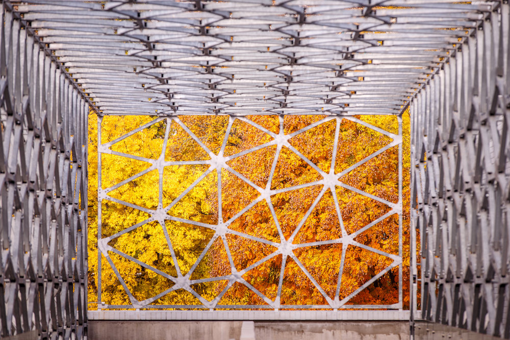 A színházi fotó lélektana – interjú Dömölky Dániel fotográfussal