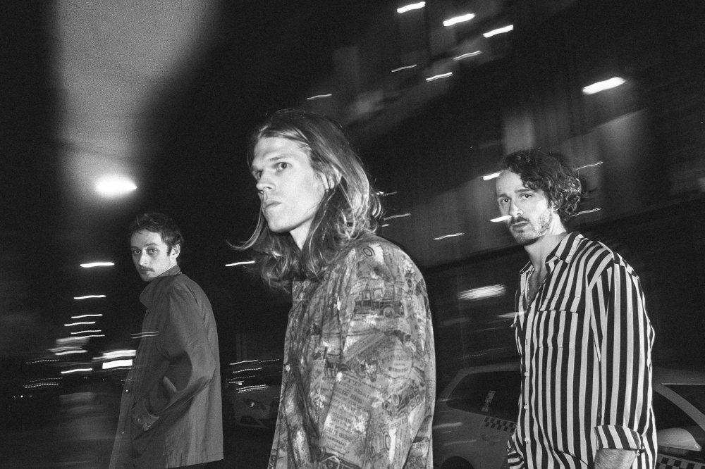 Mongooz and the Magnet  