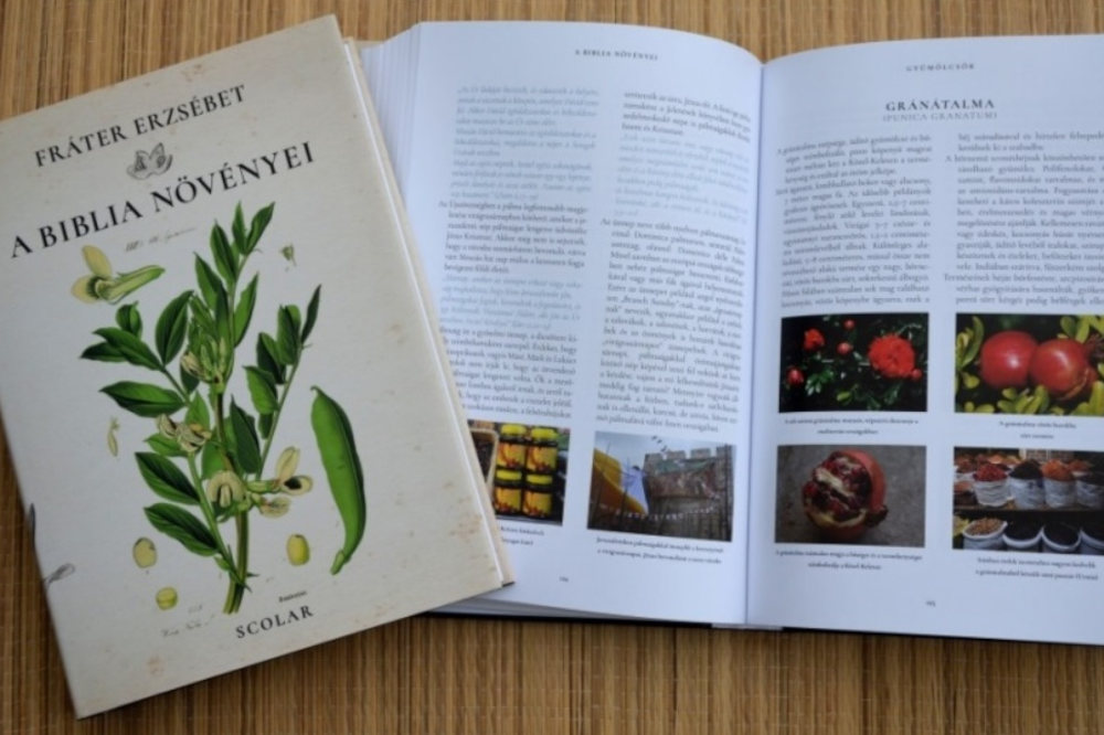 A Biblia növényei  Kép forrása