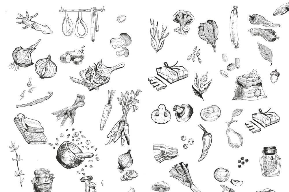 Vincze Judit illusztrációja (részlet)