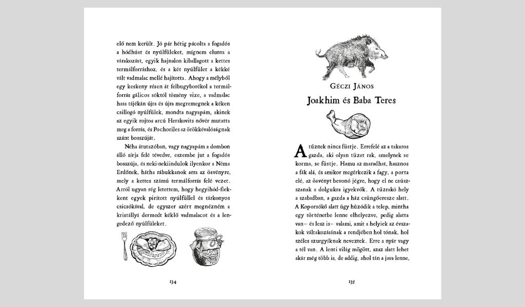 Vincze Judit illusztrációja