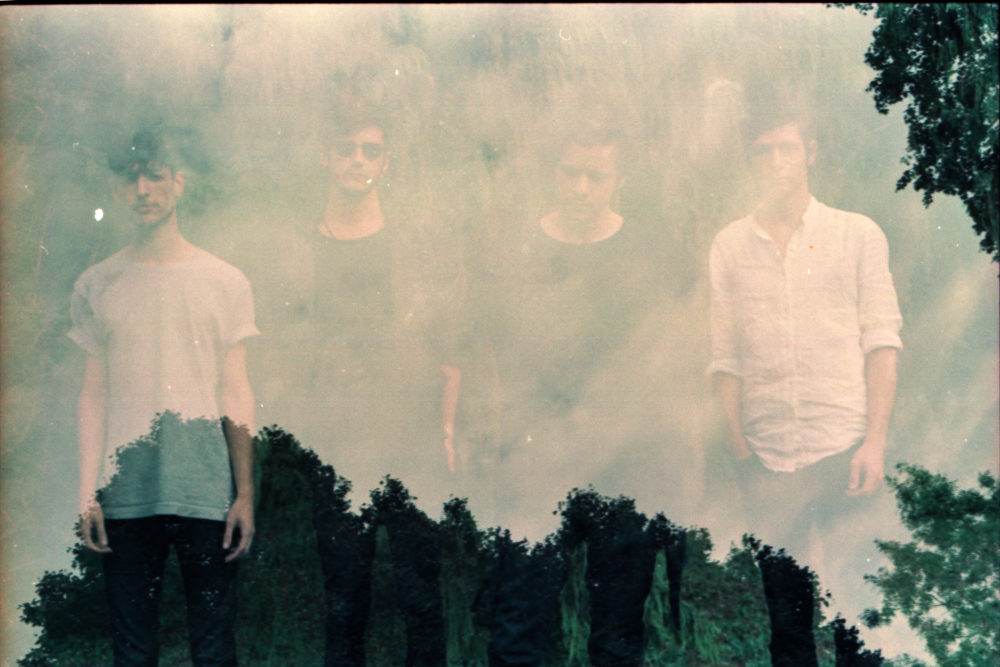 Middlemist Red zenekar  Fotó: Komróczki Dia