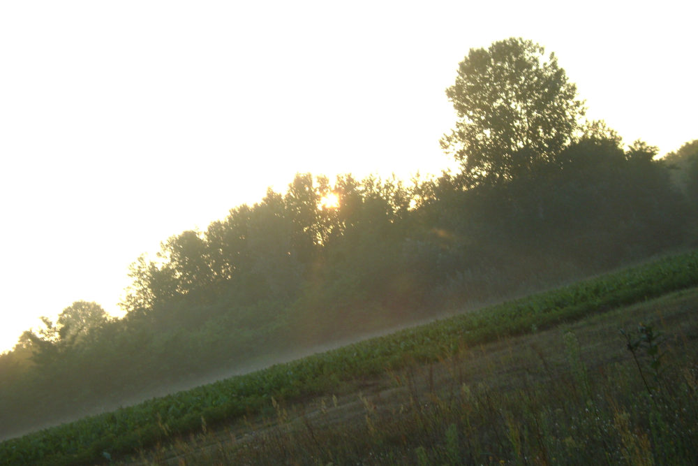 Oldalra hajtom a fejem  Kép forrása: a szerző archívuma