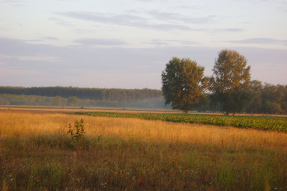 A táj ugyanaz marad  Kép forrása: a szerző archívuma