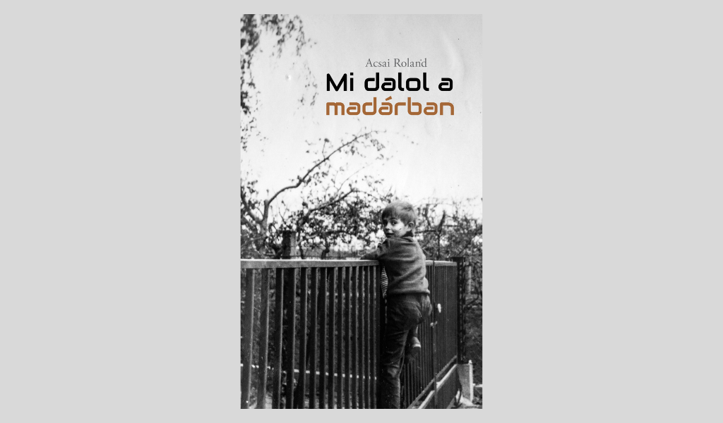 Acsai Roland: Mi dalol a madárban