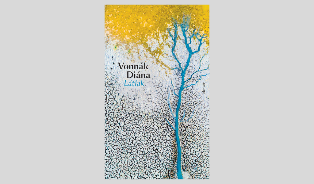 Vonnák Diána: Látlak