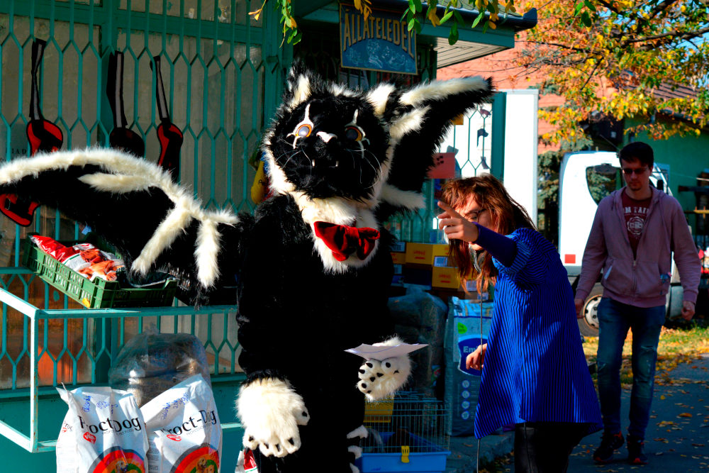 Jelenet az „Anyám macskája” című filmből