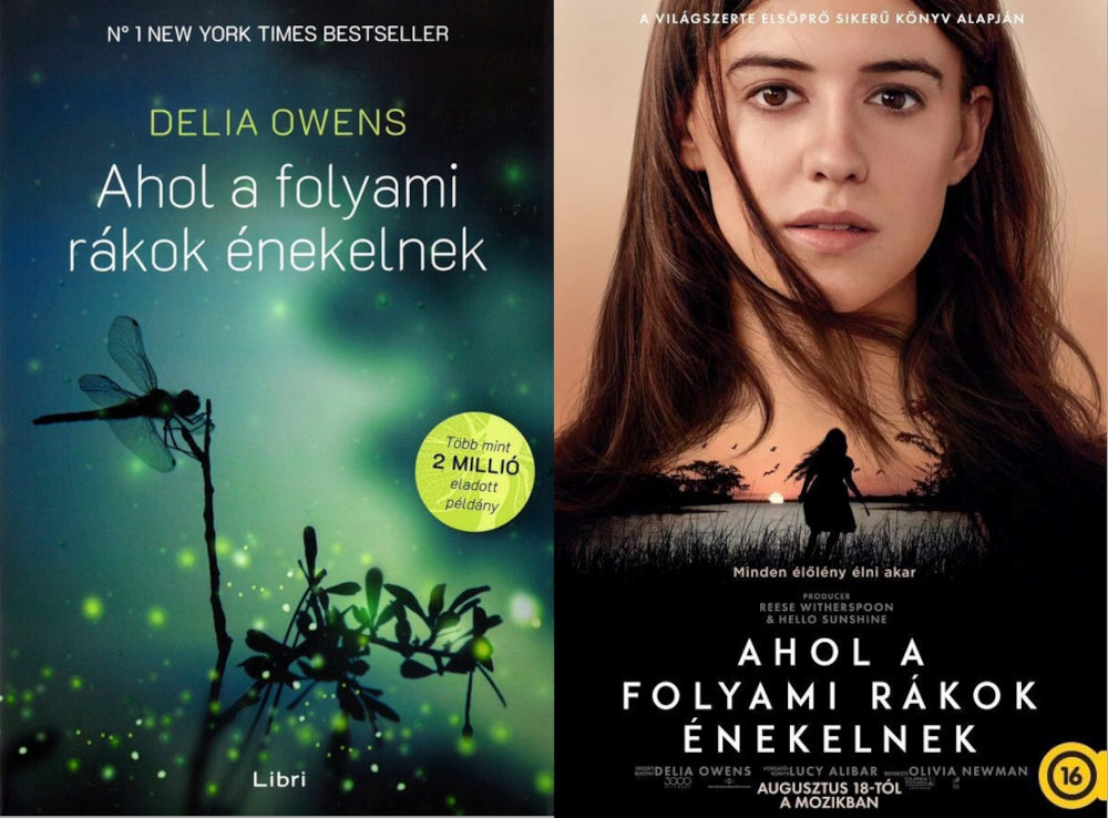 A film plakátja és a regény magyar kiadásának borítója