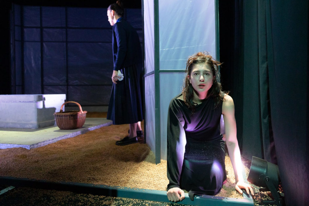 Jelenet a Vígszínház „Magyar Elektra” című előadásából  Fotó: Vígszínház / Dömölky Dániel