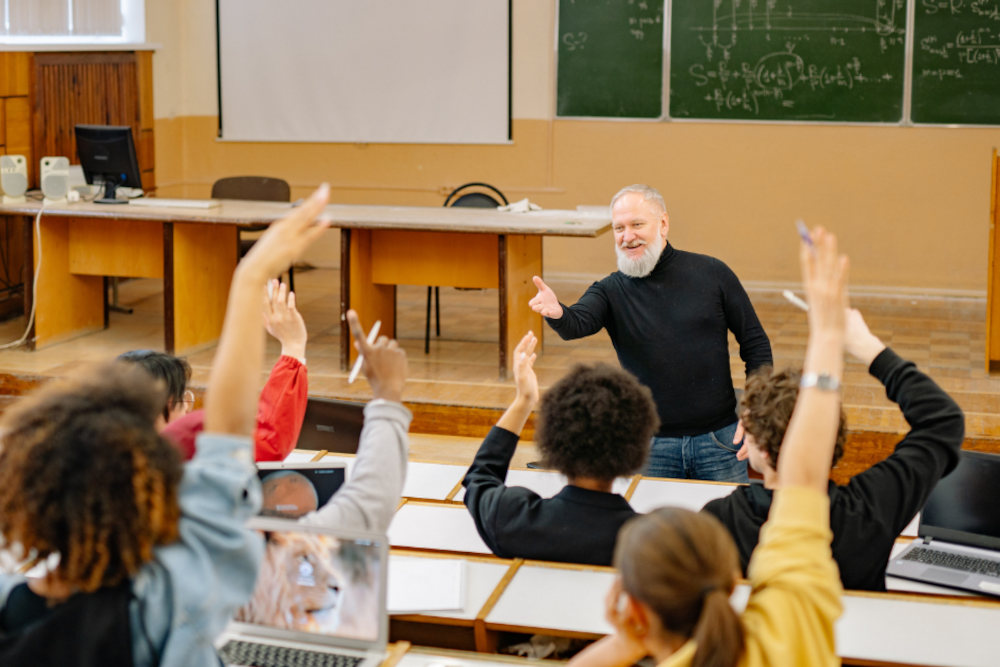 Kép forrása: Canva