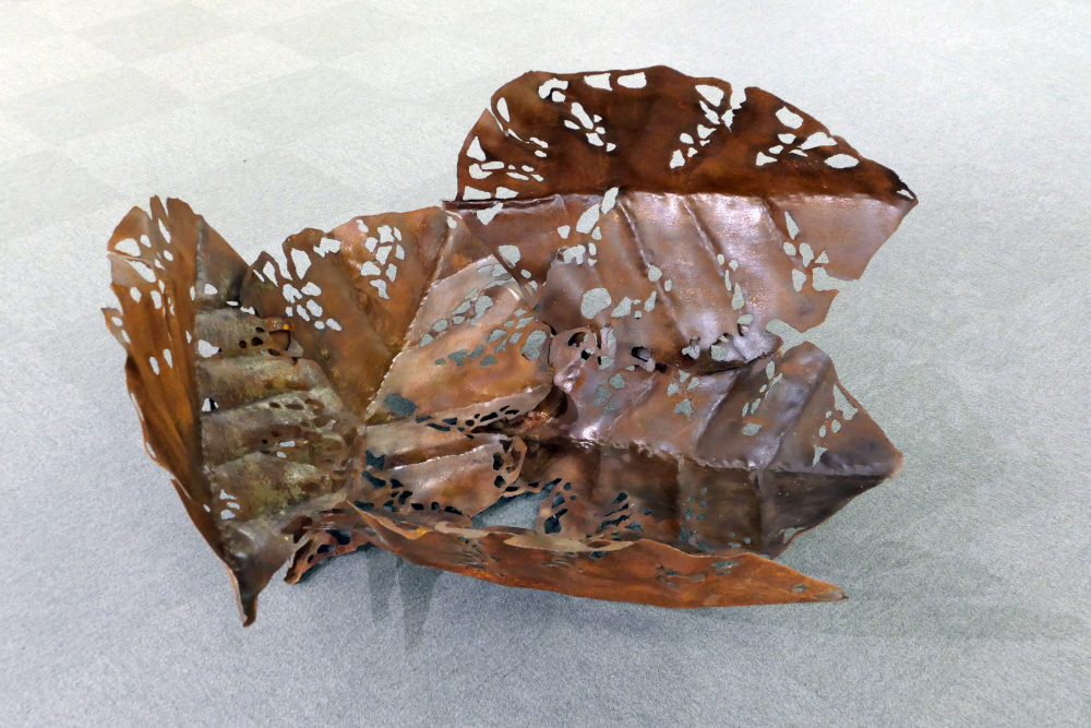 Pokorny Attila: „Meder” (2024)