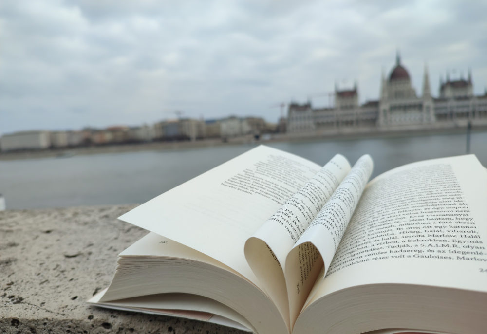 Kondor Vilmos: „Az utolsó magyar akcióhős”  Kép forrása: a szerző sajátja