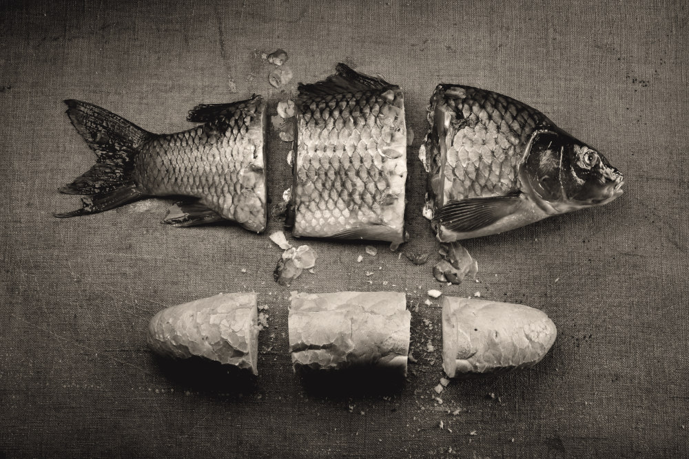 Fákó Árpád: „Csoda” (2007)