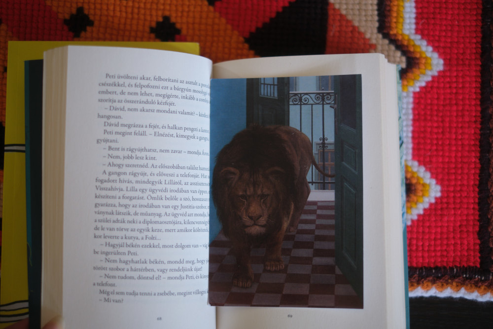 Soltész Béla „Osztatlan közös” című regénye  Fotó: a szerző sajátja