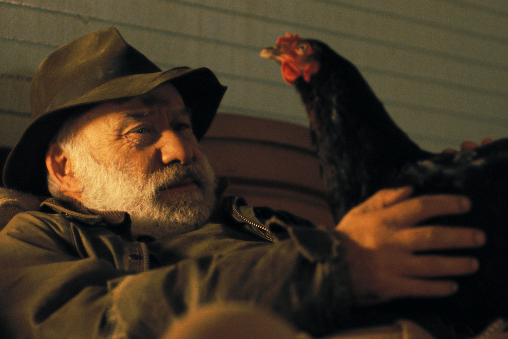 Jelenet a „Tyúk” című filmből Kép forrása: Mozinet