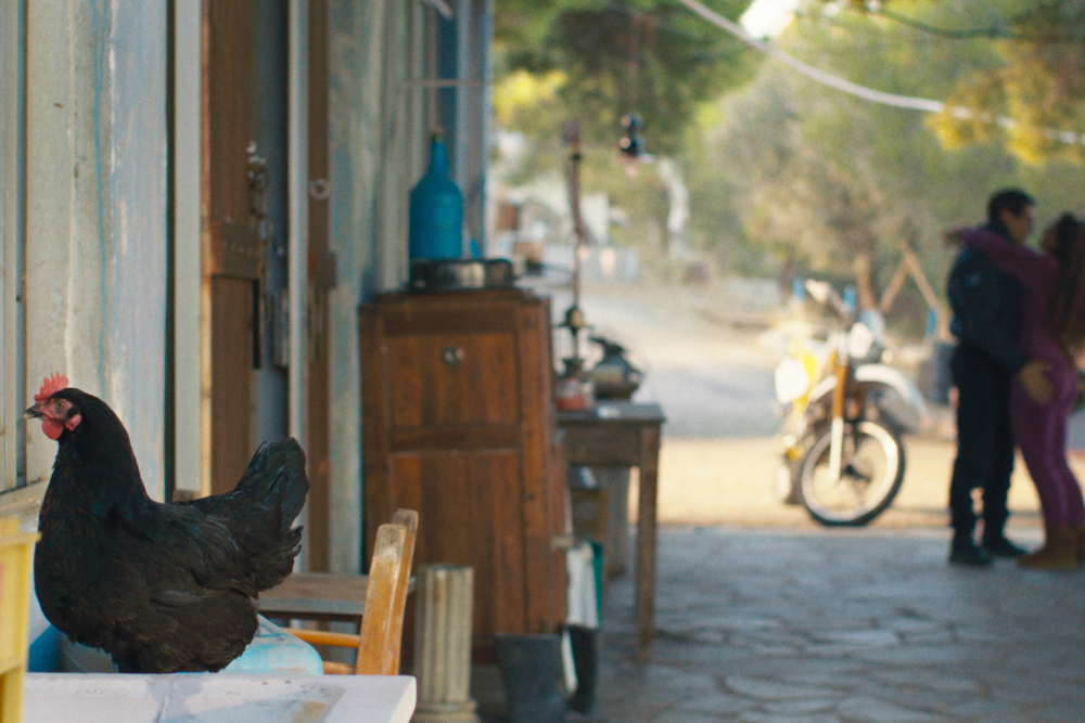 Jelenet a „Tyúk” című filmből Kép forrása: Mozinet