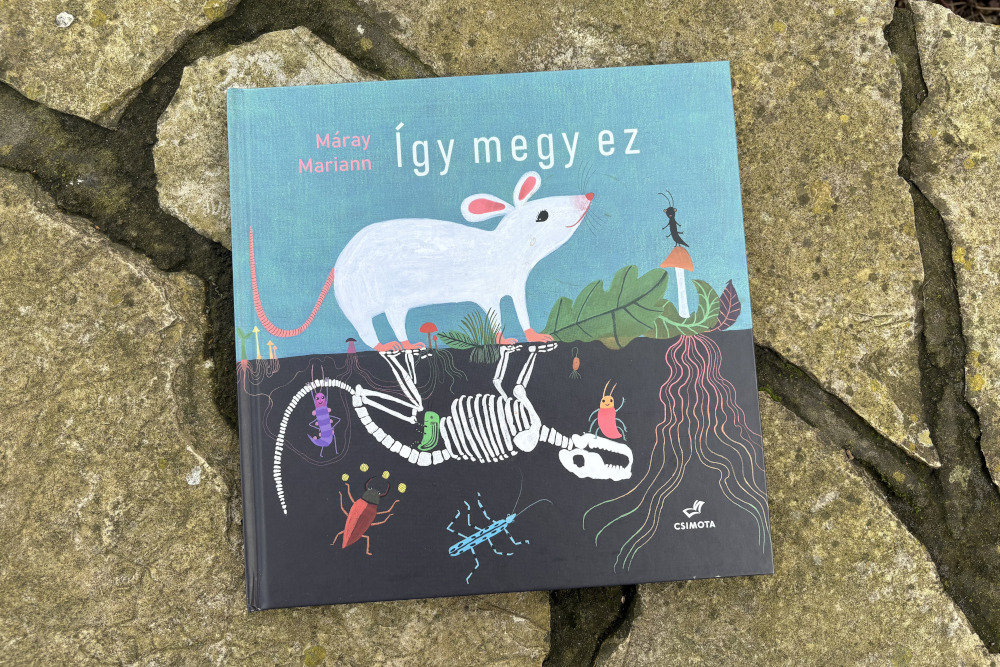 Máray Mariann „Így megy ez” című csendeskönyve Kép forrása: a szerző sajátja